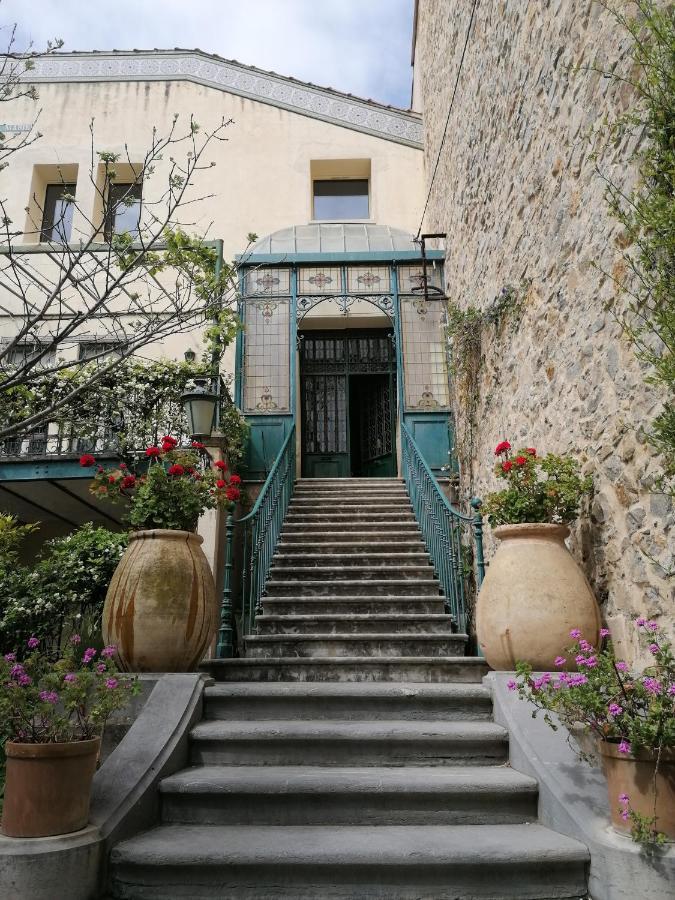 Villa Sainte Marie 纳博讷 外观 照片