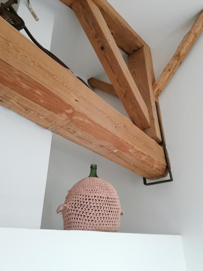 Villa Sainte Marie 纳博讷 外观 照片