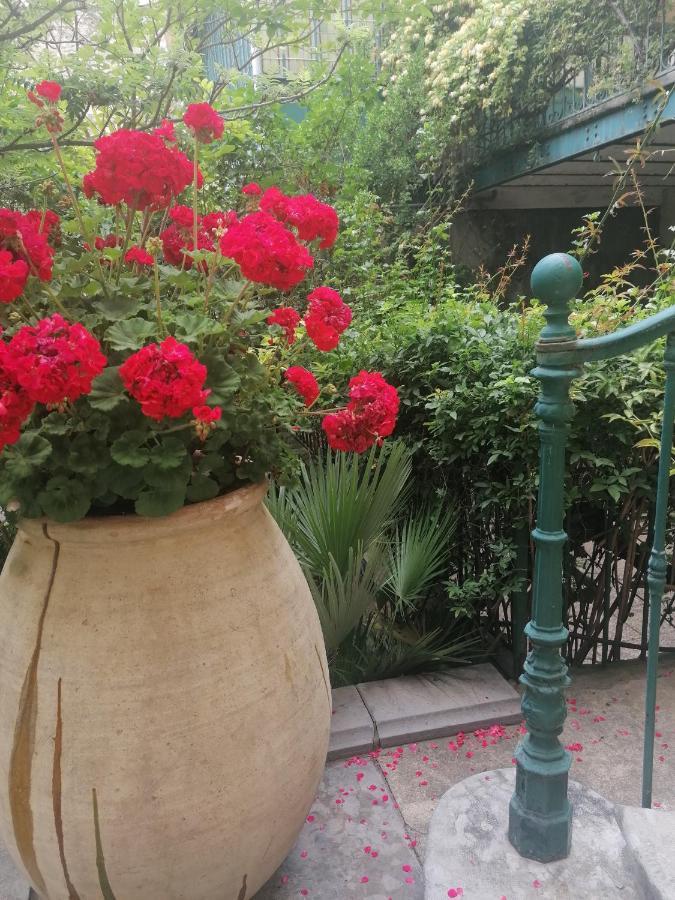 Villa Sainte Marie 纳博讷 外观 照片