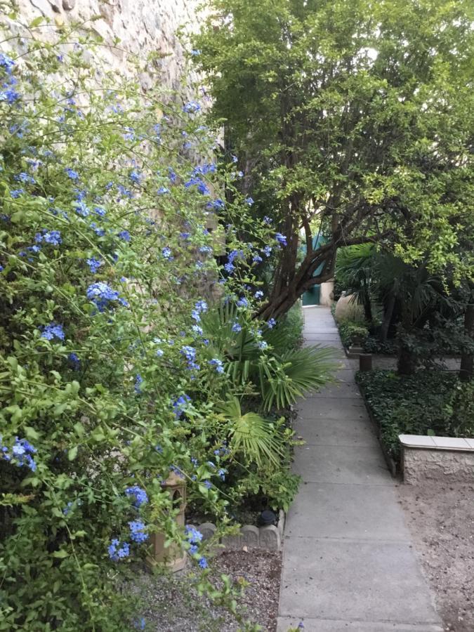 Villa Sainte Marie 纳博讷 外观 照片